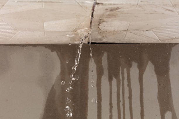 Professional Water Damage Inspection technician working in Berlin, MA